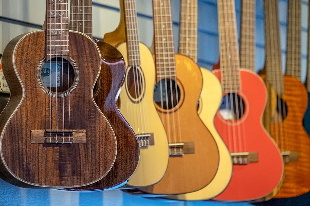 Ukulele in music store-Kauai-Hawaii-USA